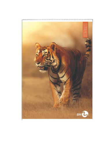 CF 10 QUADERNI ANIMAL A4 80GR R.10F