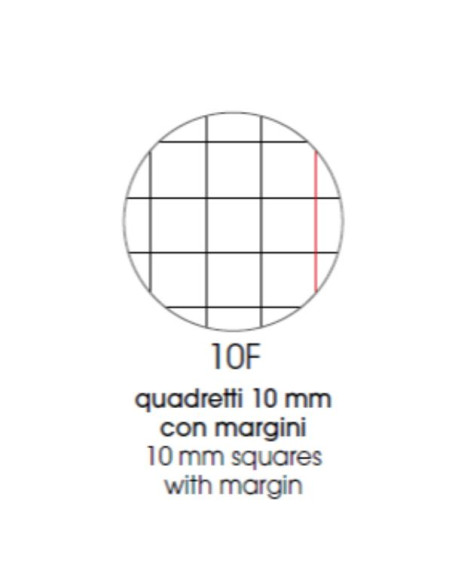 CF 10 QUADERNI ANIMAL A4 80GR R.10F