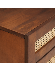Comodini con cassetto 50 x 33 x 60 cm Legno di mango massello 2