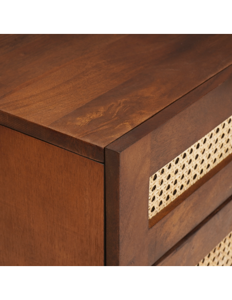 Comodini con cassetto 50 x 33 x 60 cm Legno di mango massello