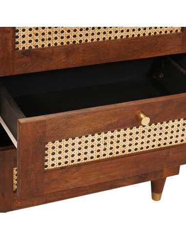 Comodini con cassetto 50 x 33 x 62 cm Legno di mango massello