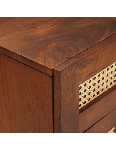 Comodini con cassetto 50 x 33 x 60 cm Legno di mango massello