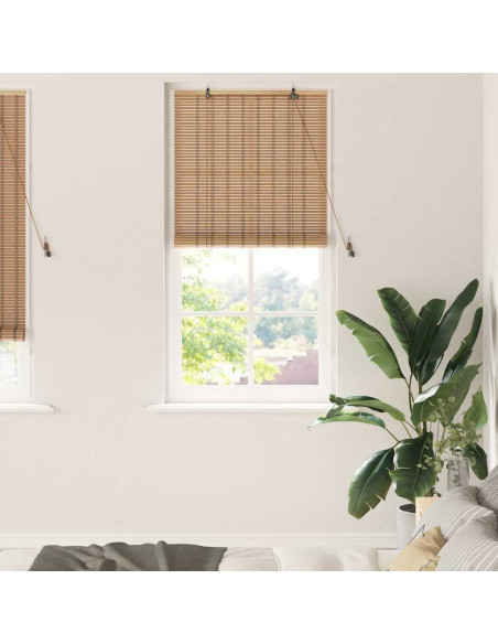 Tende e Persiane per Finestre Marrone Chiaro 100 x 220 cm