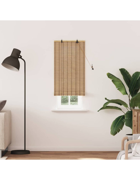 Tende e Persiane per Finestre Marrone Chiaro 100 x 220 cm