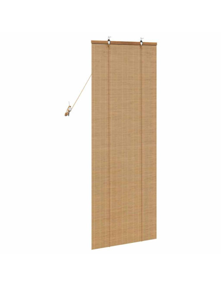 Tende e Tapparelle per Finestre Marrone Chiaro 60 x 160 cm
