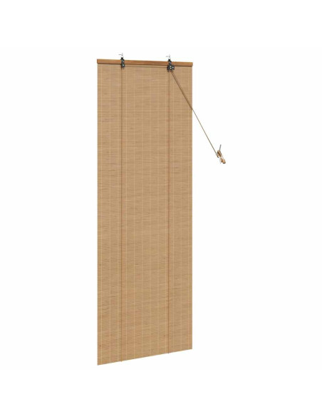 Tende e Tapparelle per Finestre Marrone Chiaro 60 x 160 cm