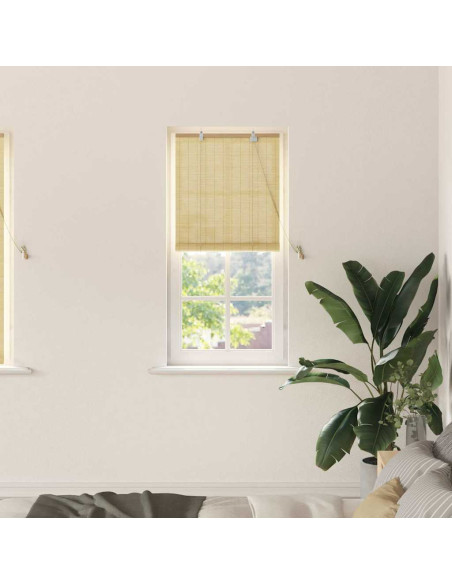 Tenda a rullo con tende Natura 60 x 160 cm Bambù