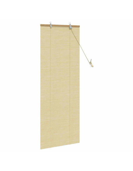 Tende e Tapparelle per Finestre Naturale 60 x 160 cm Bambù