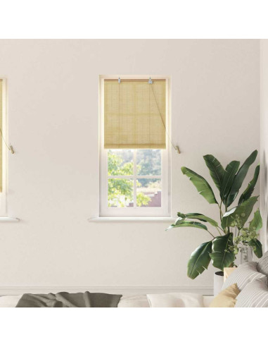 Tenda a rullo con tende Natura 60 x 220 cm Bambù