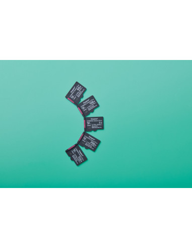 Kingston Technology 64GB micSDXC Canvas Select Plus Gen3 100R A1 (Adattatore SD non incluso)
