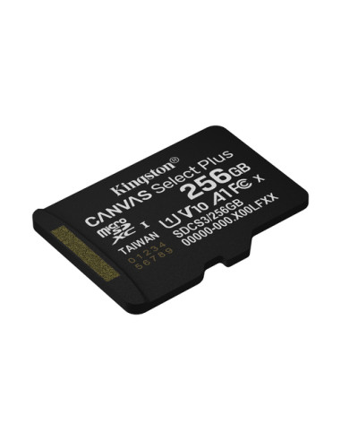 Kingston Technology 256GB micSDXC Canvas Select Plus Gen3 150R A1 (Adattatore SD non incluso)