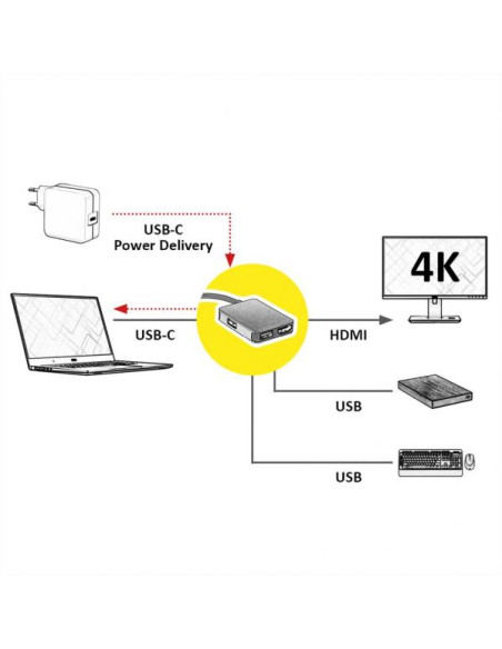 ROLINE 12.02.1120 replicatore di porte e docking station per laptop Cablato USB 3.2 Gen 1 (3.1 Gen 1) Type-C Oro