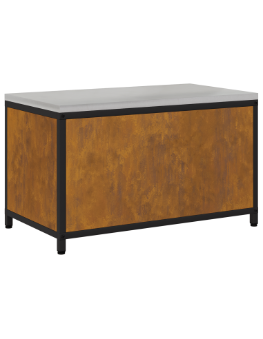 Stoccaggio in cucina con porta Ruggine 60 x 50 x 92 cm Acciaio