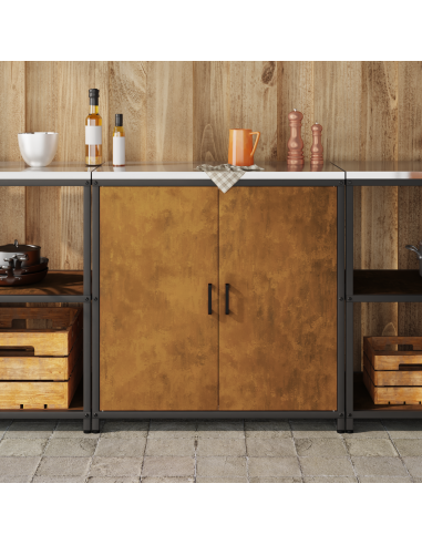 Stoccaggio in cucina con porta Ruggine 60 x 50 x 92 cm Acciaio