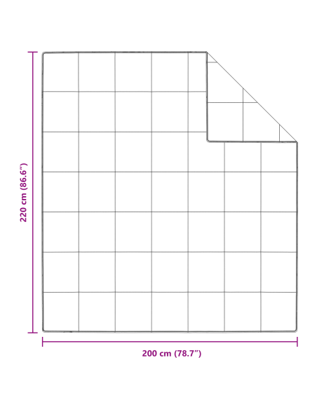 Piumone Bianco 200 x 220 cm Piuma