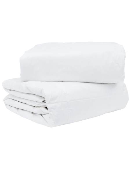 Duvet 2-in-1 Bianco 200 x 200 cm Piuma