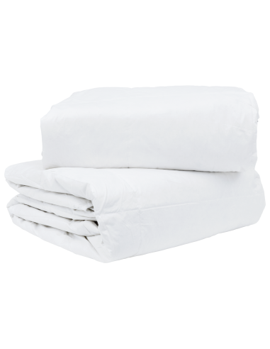 Duvet 2-in-1 Bianco 240 x 260 cm Piuma