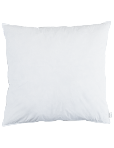 Cuscino con cuscino 2 pcs Bianco 60 x 60 cm Piuma