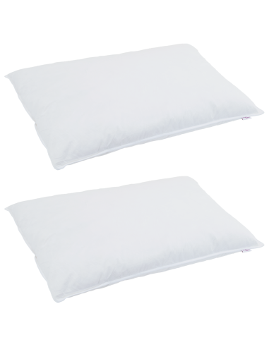 Cuscino con cuscino 2 pcs Bianco 40 x 80 cm Piuma