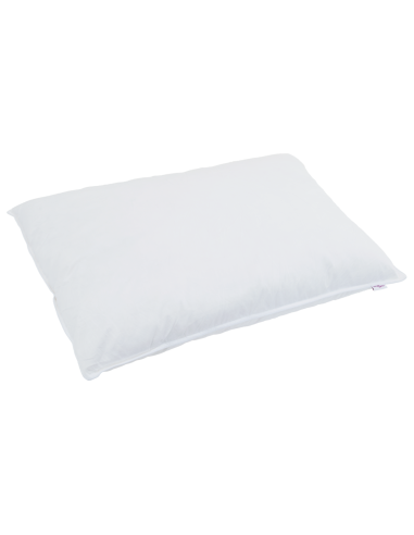Cuscino con cuscino 2 pcs Bianco 60 x 80 cm Piuma
