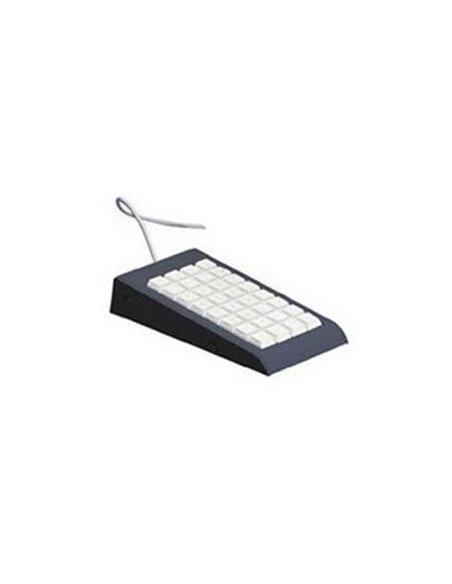 Epson 7106589 tastiera USB Grigio