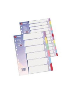 DIVISORI IN MANILLA COLORATO