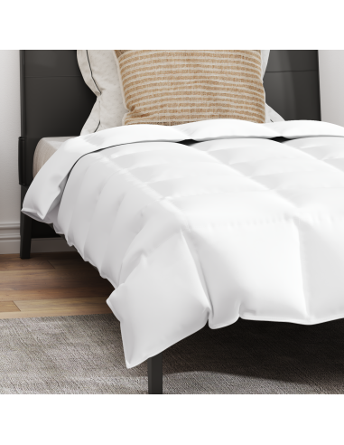 Duvet Invernale con cuscino 2 pcs Bianco Piuma d'anatra
