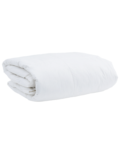 Duvet Invernale con cuscino 2 pcs Bianco Piuma d'anatra