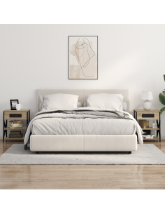 Armadio da Notte 2 pcs Rovere Sonoma 41 x 31 x 51 cm