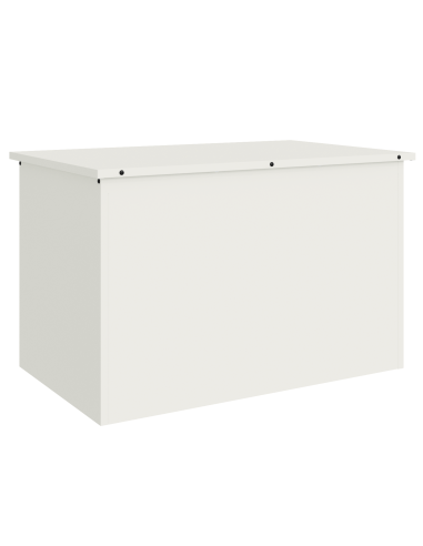 Scatola di Stoccaggio Esterno Bianco 80 x 50,5 x 50 cm Acciaio