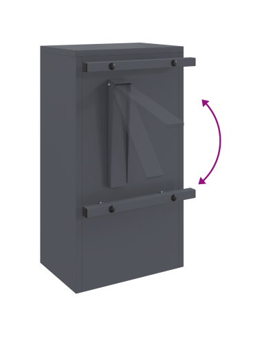 cassetta postalepastkastei Antracite 30 x 20 x 55 cm Acciaio