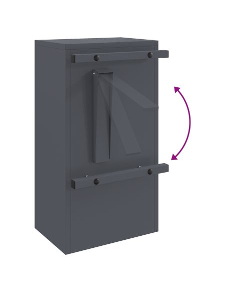 cassetta postalepastkastei Antracite 30 x 20 x 55 cm Acciaio