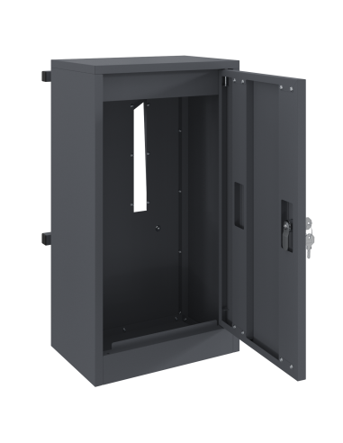 cassetta postalepastkastei Antracite 30 x 20 x 55 cm Acciaio