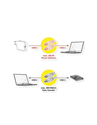 VALUE 11.99.8310 cavo USB USB 2.0 3 m USB C Nero