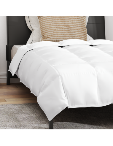 Duvet Invernale con cuscino 2 pcs Bianco Piuma d'anatra