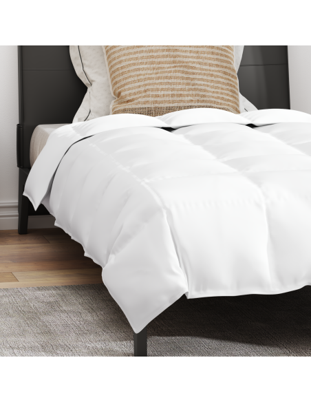 Duvet Invernale con cuscino 2 pcs Bianco Piuma d'anatra