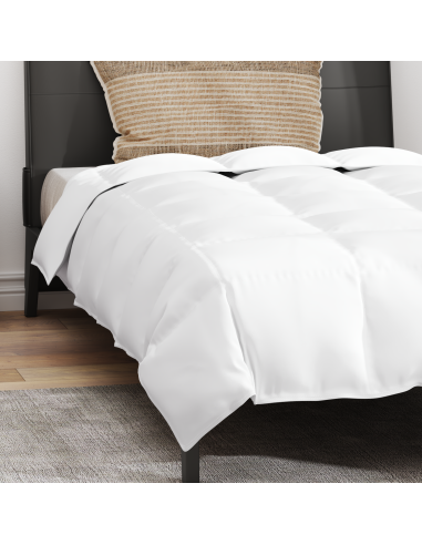 Duvet Invernale con cuscino 2 pcs Bianco Piuma d'anatra