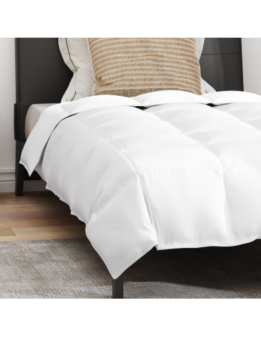 Duvet Invernale con cuscino 2 pcs Bianco Piuma d'anatra