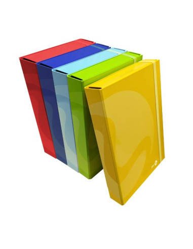 PORTA PROGETTI DORSO 5 COL. ASS.