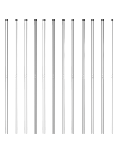 Palo della recinzione 12 pcs Argento