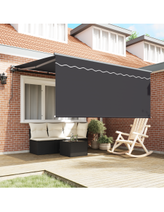 Tenda Retrattile Antracite 300 x 250 cm Poliestere e Alluminio