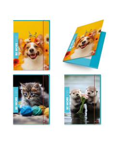 CF6 CARTELLA 3 LEMBI BABY DORSO 1