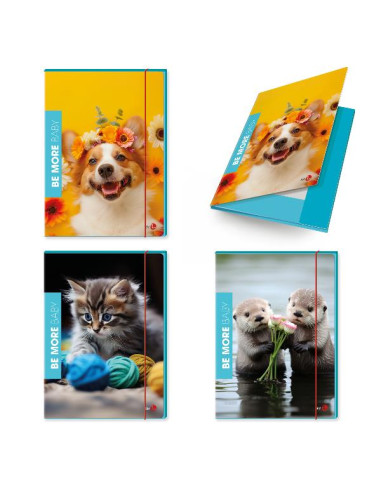 CF6 CARTELLA 3 LEMBI BABY DORSO 1