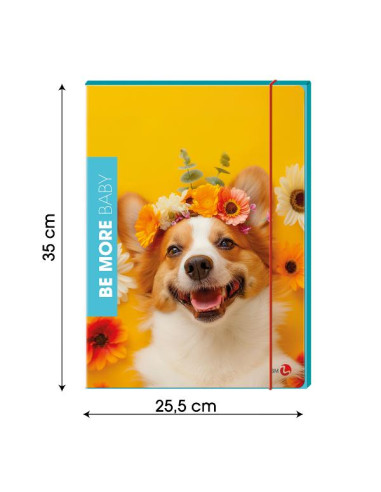 CF6 CARTELLA 3 LEMBI BABY DORSO 1