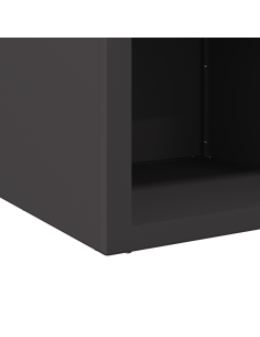 Focolare Nero 50 x 50 x 40 cm Acciaio 2