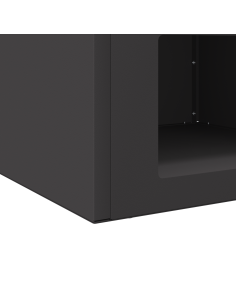 Focolare Nero 50 x 50 x 40 cm Acciaio 2