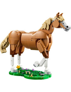 CAVALLO MERAVIGLIOSO 2