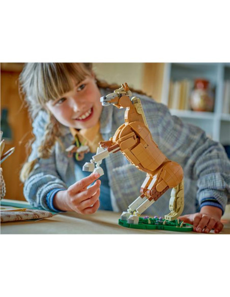 CAVALLO MERAVIGLIOSO
