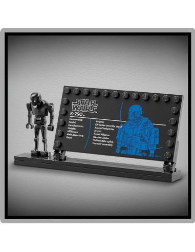 DROIDE DI SICUREZZA K-2SO