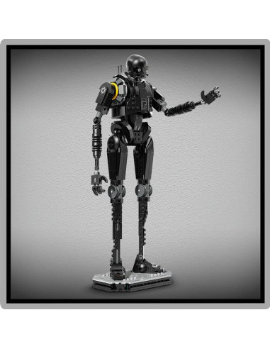 DROIDE DI SICUREZZA K-2SO